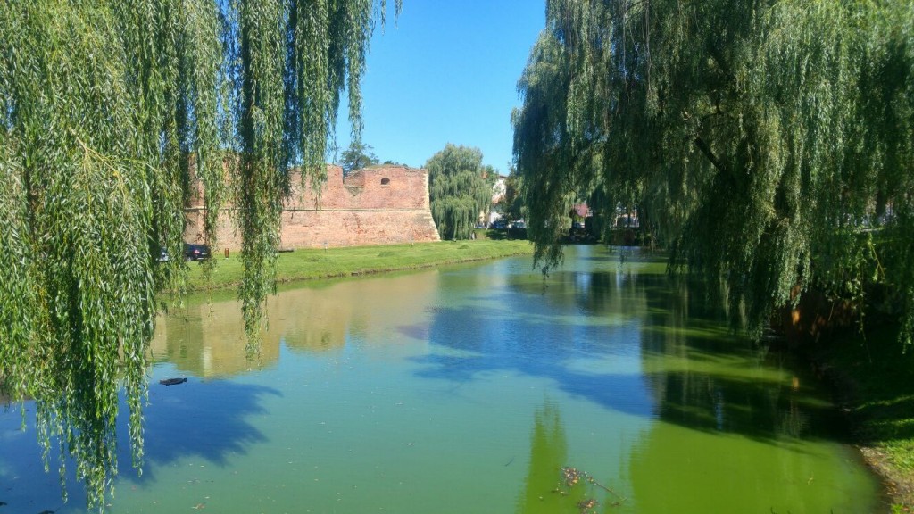 Obiective turistice Transfagarsan copii- Cetatea Fagarasului