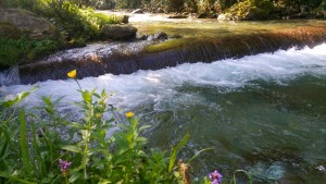Cazare Transfagarasn - Cartisoara