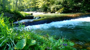 Cazare Transfagarasn - Cartisoara
