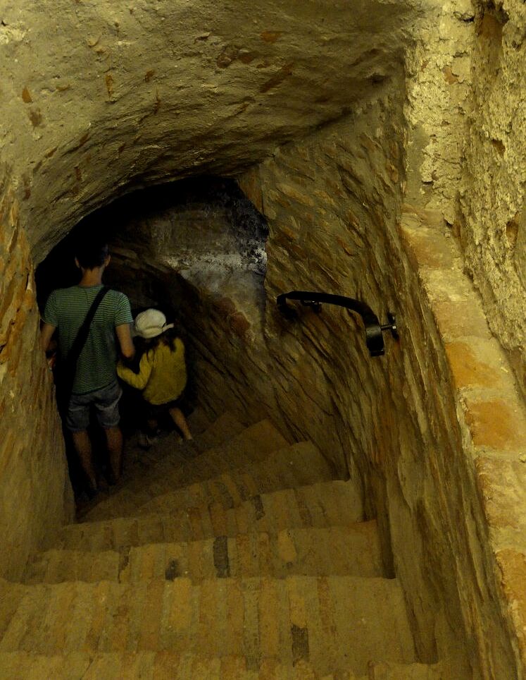 Obiective turistice Transfagarsan copii- Cetatea Fagarasului